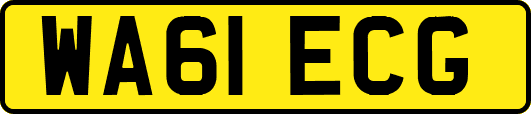 WA61ECG
