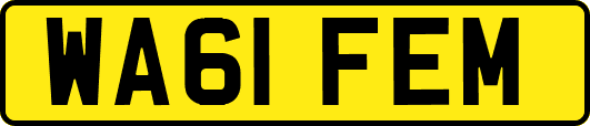 WA61FEM
