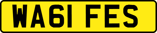 WA61FES