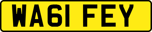 WA61FEY