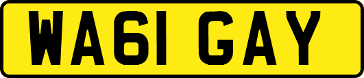 WA61GAY