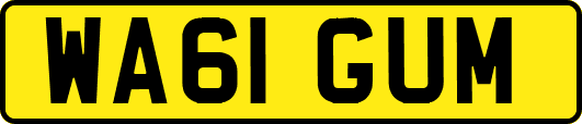 WA61GUM