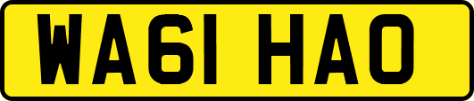 WA61HAO