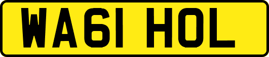 WA61HOL