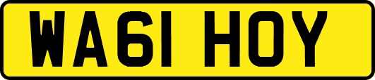 WA61HOY