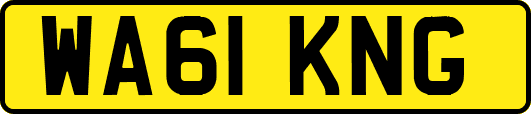 WA61KNG