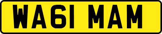 WA61MAM