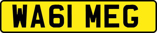 WA61MEG