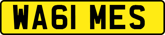 WA61MES