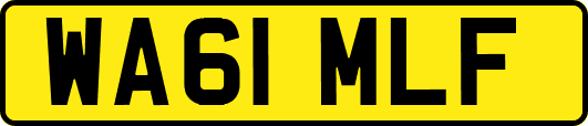 WA61MLF