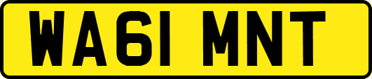 WA61MNT