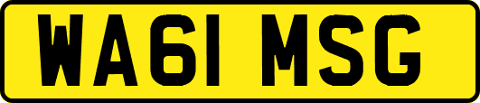 WA61MSG