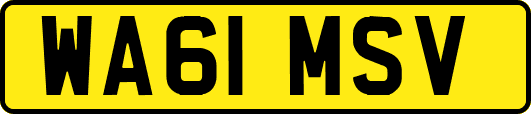 WA61MSV