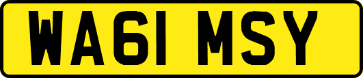 WA61MSY