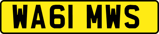 WA61MWS