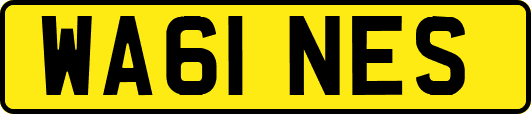 WA61NES