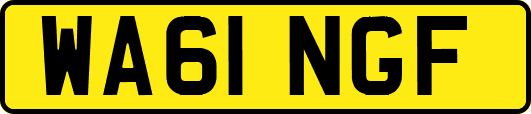 WA61NGF