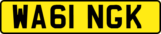 WA61NGK