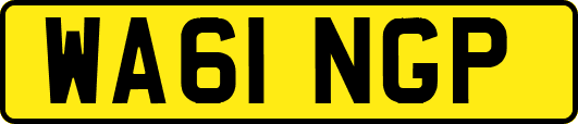 WA61NGP