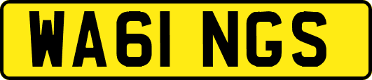 WA61NGS