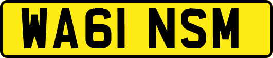 WA61NSM
