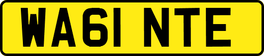 WA61NTE