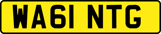 WA61NTG
