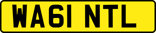 WA61NTL