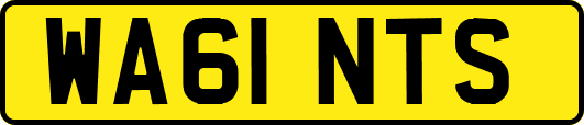 WA61NTS
