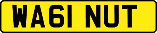 WA61NUT