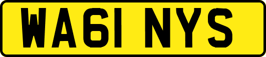 WA61NYS