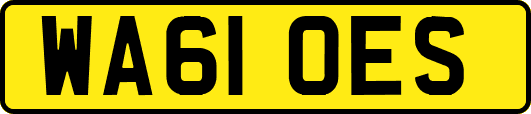 WA61OES