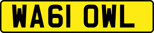 WA61OWL