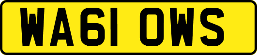 WA61OWS