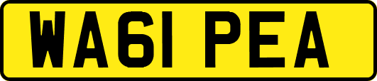 WA61PEA