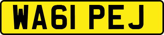 WA61PEJ