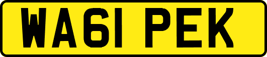 WA61PEK