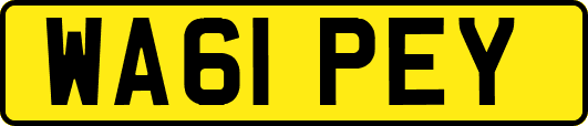 WA61PEY