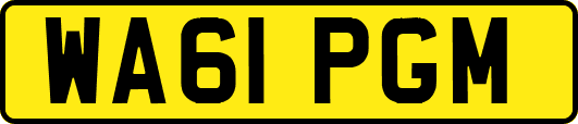 WA61PGM