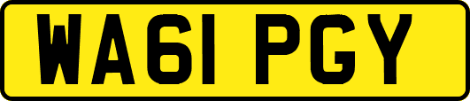 WA61PGY