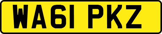 WA61PKZ