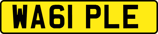 WA61PLE
