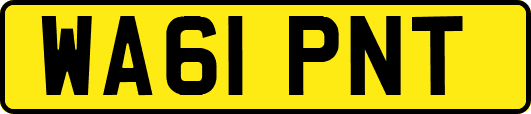 WA61PNT