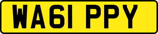WA61PPY