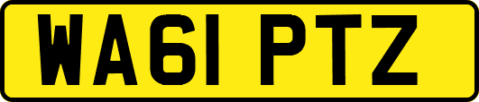 WA61PTZ