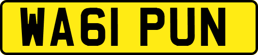 WA61PUN