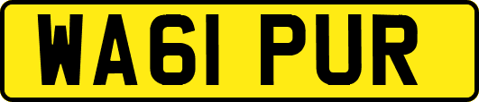 WA61PUR