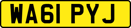 WA61PYJ