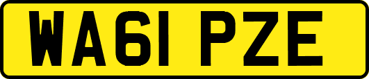 WA61PZE