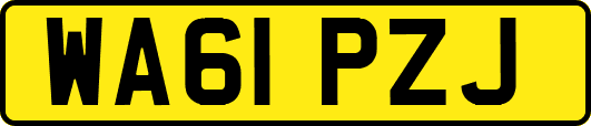 WA61PZJ